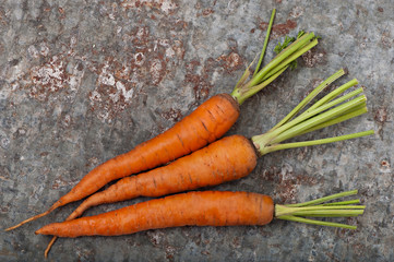 Ripe sweet carrots on a background of old iron.