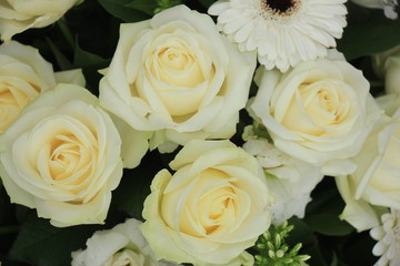 white rose bridal bouquet