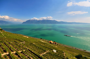 Lac Leman - Switzerland