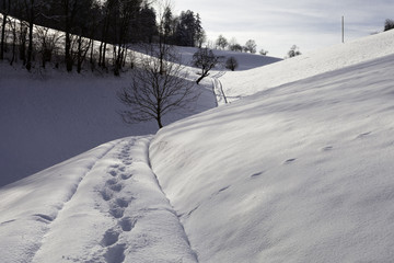 Fussstapfen im Schnee - 164395988