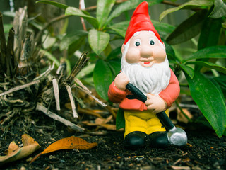 Garden Gnome
