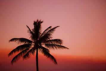 Obraz na płótnie Canvas Tropical sunset