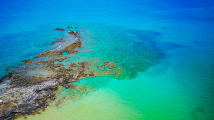 Obraz premium Coral reef