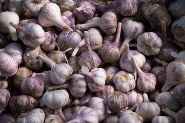 Homemade purple garlic