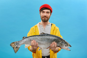 Bearded fisherman in yellow anorak and red hat holding huge fish in hands, demonstrating his successful catch. Horizontal portrait of skilled workman posing with big salmon on blue background