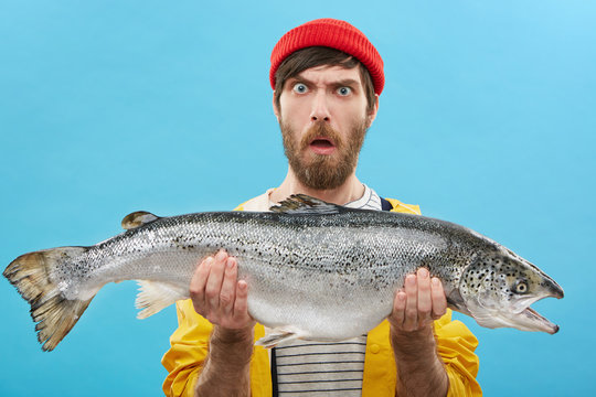 Headshot of funny emotional young bearded Caucasian fisherman in hat and raincoat holding large salmon in both hands, staring at camera with shocked look, can't believe that he caught such a big fish