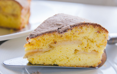Homemade apple cake biscuit close up of a slice of cake on white plate on white wooden background 