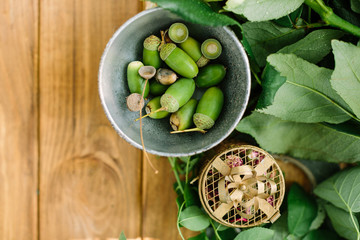 environment, nature, countrylife concept - flat-lay of little bowl with fresh green acorns, leaves of rose bushes and small cardboard gift box with pink dried flowers on wooden table