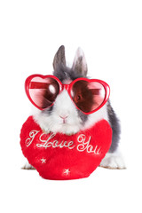 Funny rabbit with heart and heart shaped glasses