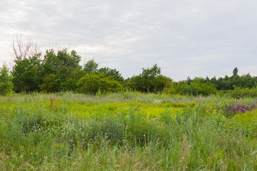 Fototapeta premium Sea landscape. Terrain on the coast of the Azov Sea in the Rostov region