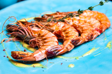 Grilled shrimps with rosemary on the blue plate served in restaurant with sous and wine