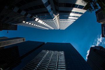 Fototapeta na wymiar Bottom view of modern skyscraper. Business district
