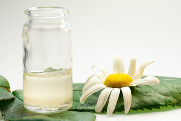 Obraz na płótnie Canvas Serum from chamomile, face cream
