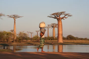 Foto op Canvas Steegje van de baobabs © Duleyrie