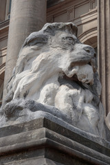 Close up, Lion, Leeds Town Hall