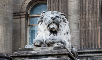 Lion front, Leeds Town Hall