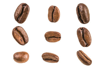 coffee bean on white background