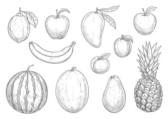 Fresh exotic fruits sketch vector isolated icons