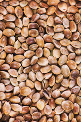 Macro detail of cannabis (hemp) seeds - medical marijuana background