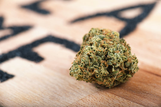 Single cannabis bud - medical merijuana concept