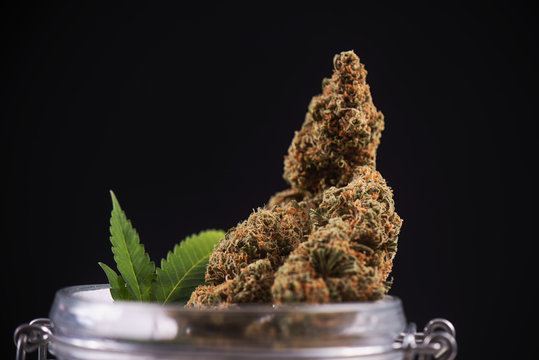 Dried cannabis buds (green crack strain) on a glass jar - medical marijuana dispensary concept