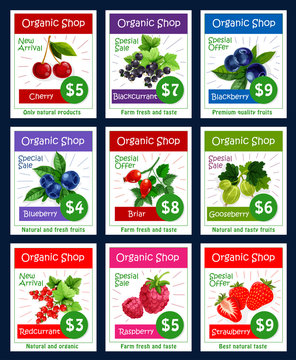Berries and sweet garden fruits vector price cards