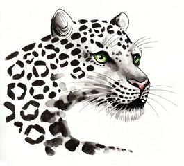 White leopard