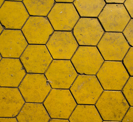 Hexagonal yellow ground