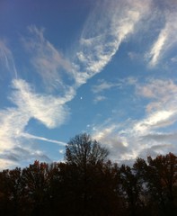 Blue Autumn Sky