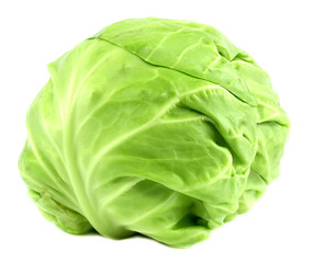 cabbage isolated on white background