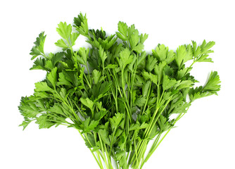 parsley bunch on white background