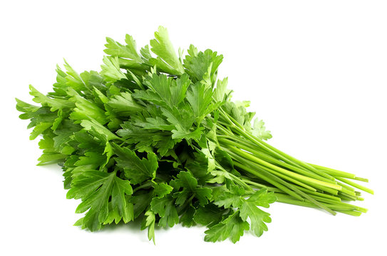 Parsley Bunch Isolated On White Background