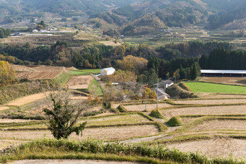 Countryside in Japan