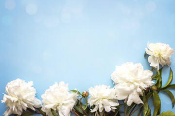 Border of white peonies on a blue background with copy space.