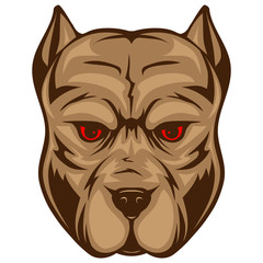 Obraz premium pitbull