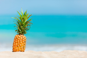 Fresh pineapple sitting on a tropical beach. 