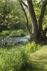 Beautiful vibrant English countryside river landscape with shallow depth of field