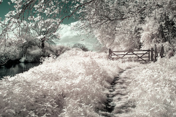 Surreal vibrant alternative colour infrared English countryside landscape