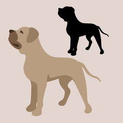 pitbull terrier vector illustration style flat black silhouette