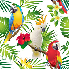 Seamless pattern of parrots cockatoo on the tropical branches with leaves and flowers on dark. Hand drawn vector