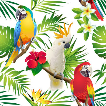 Seamless Pattern Of Parrots Cockatoo On The Tropical Branches With Leaves And Flowers On Dark. Hand Drawn Vector
