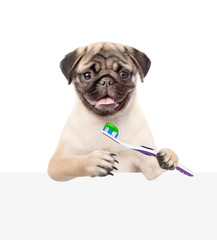 Dog with a toothbrush peeking above white empty banner. isolated on white background