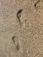 Footprints at sunset with golden sand. beach, wave and footsteps at sunset time