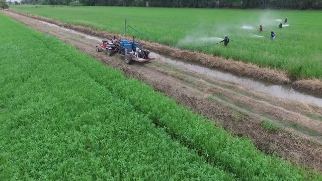 farmer spraying insecticides in agricultural area