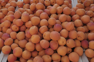 abricots