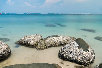 Stone in sea and wave on morning time with long exposure.