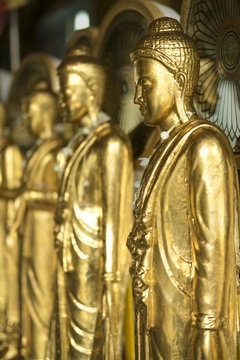STANDING GOLDEN BUDDHA  IMAGE
Golden Buddha image stands peacefully in front of the stain-glass wall that reflect buddha image in small pieces.