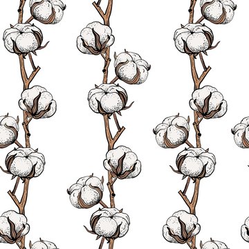 Seamless pattern with cotton branches.