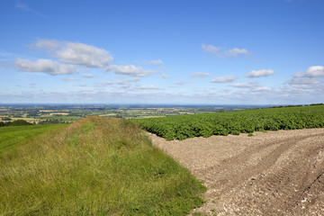 vale of york view