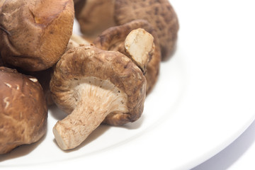 Shiitake Mushroom on white plate isolated on white
